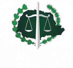 Defensoria orienta gratuitamente organizações da sociedade civil Defensoria orienta gratuitamente organizações da sociedade civil
